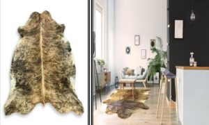 What are the various types of Cowhide rugs?